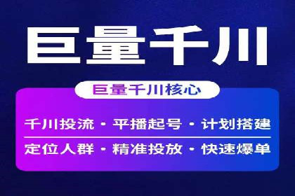 SEM代运营经典案例解析与启示